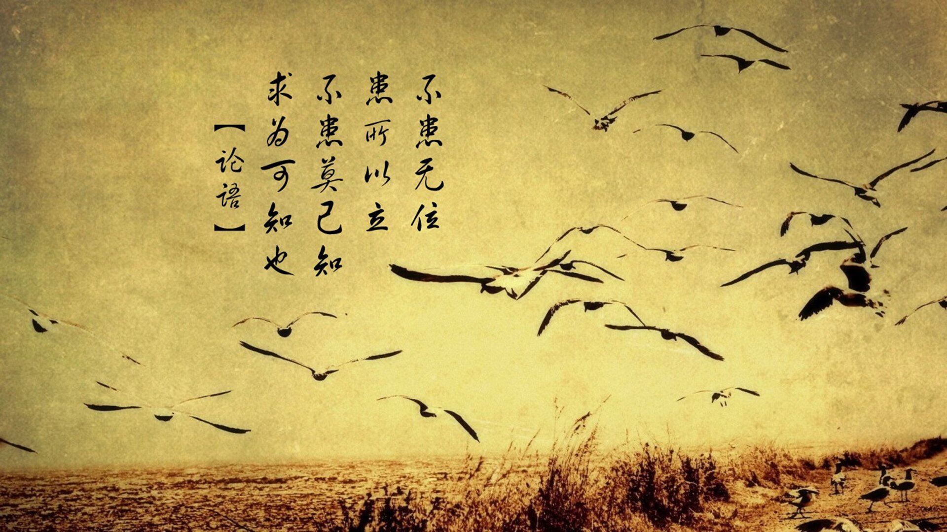 国家游泳队训练成果显著，成绩节节攀升，国家游泳队训练管理信息系统
