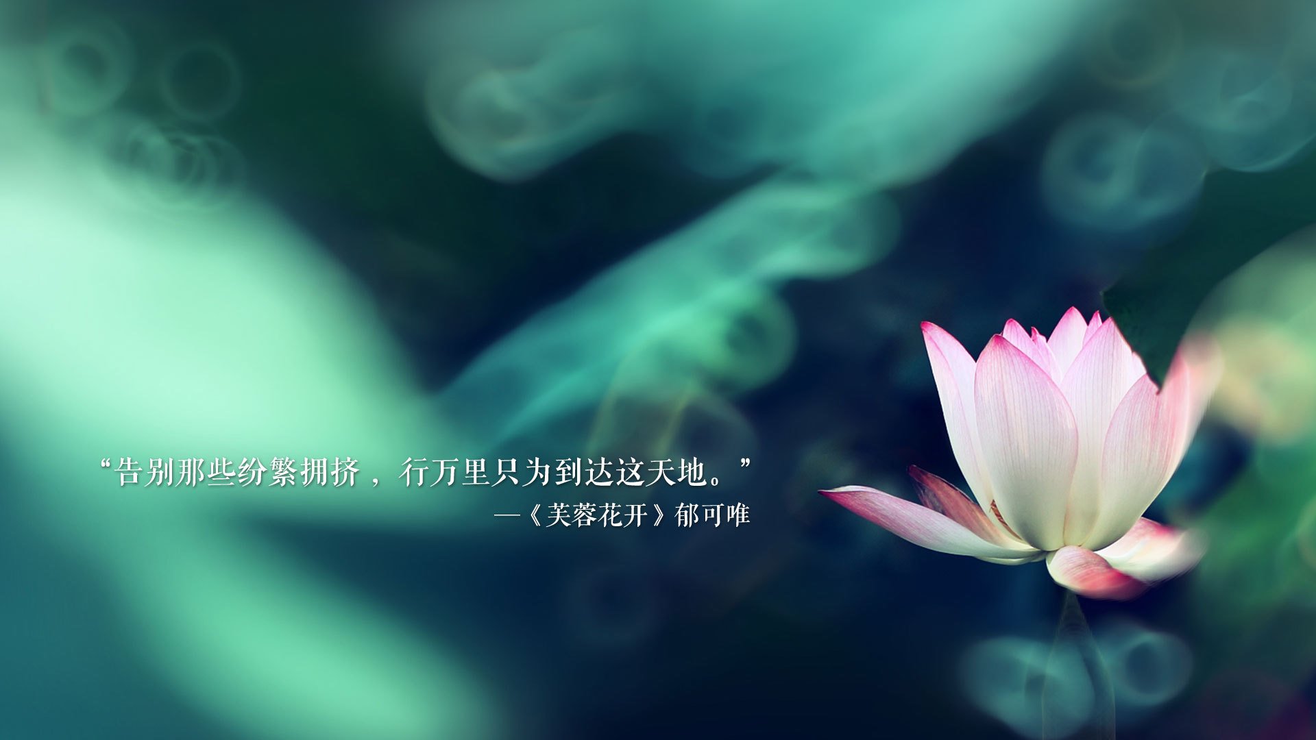 曼斯菲尔德主场战绩出色，野马军团士气高涨，曼斯菲尔德庄园简介