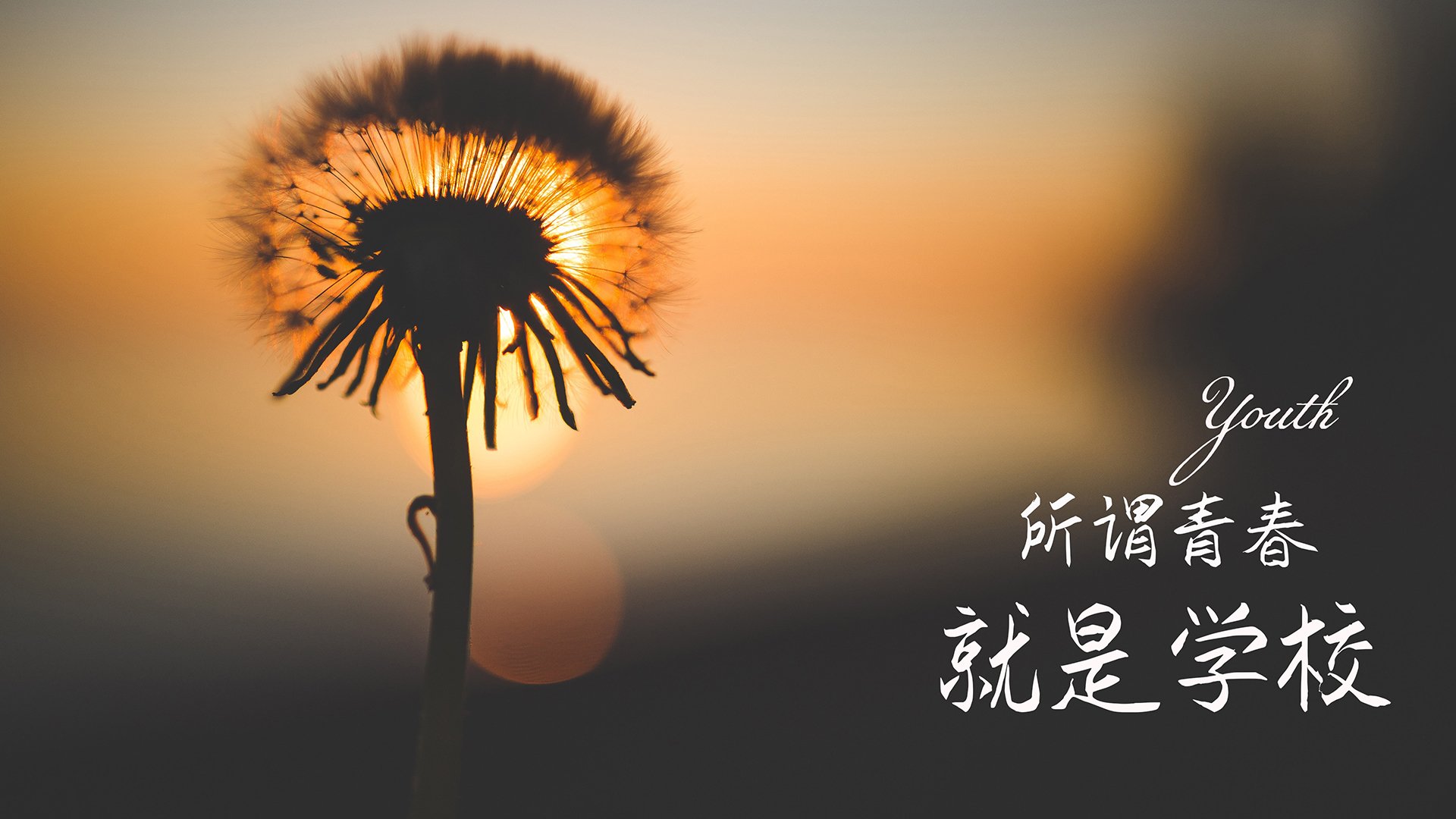 AYX体育官网-贵州男篮灯火辉煌，全队实力得到提升！，贵州篮球2021赛事