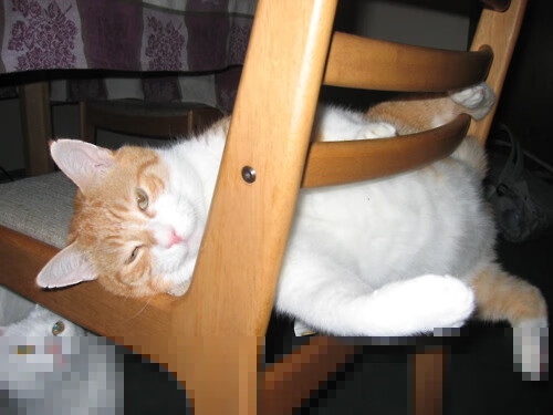 阿尔阿赫利防守端表现稳固，阿尔阿赫利亚冠