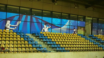 爱游戏中国官方网站平台-澳大利亚队未来如何利用青训体系打造新一代乒乓巨星，澳大利亚乒乓球