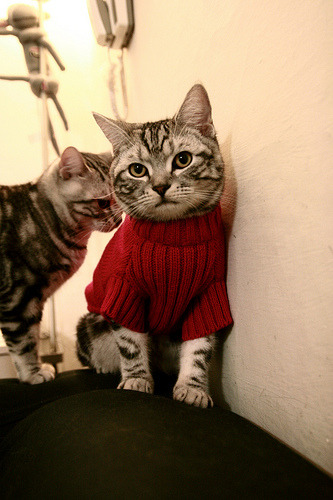 世界杯神话再现:经典瞬间永垂不朽!,嗯世界杯的