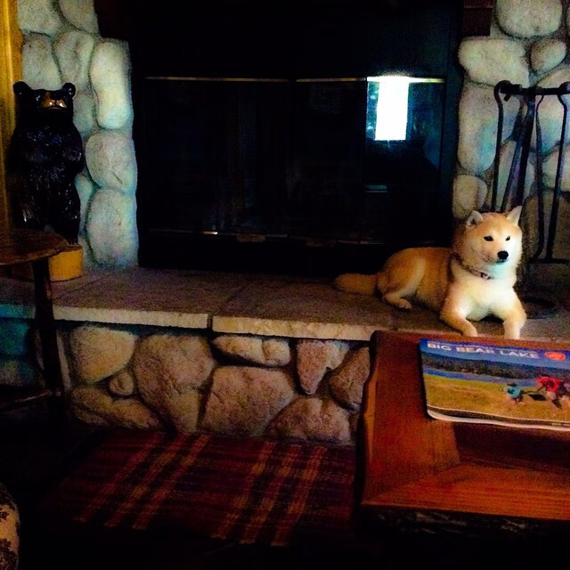 爱游戏登录入口-苏炳添发布自传记录奋斗故事，苏炳添励志故事简介