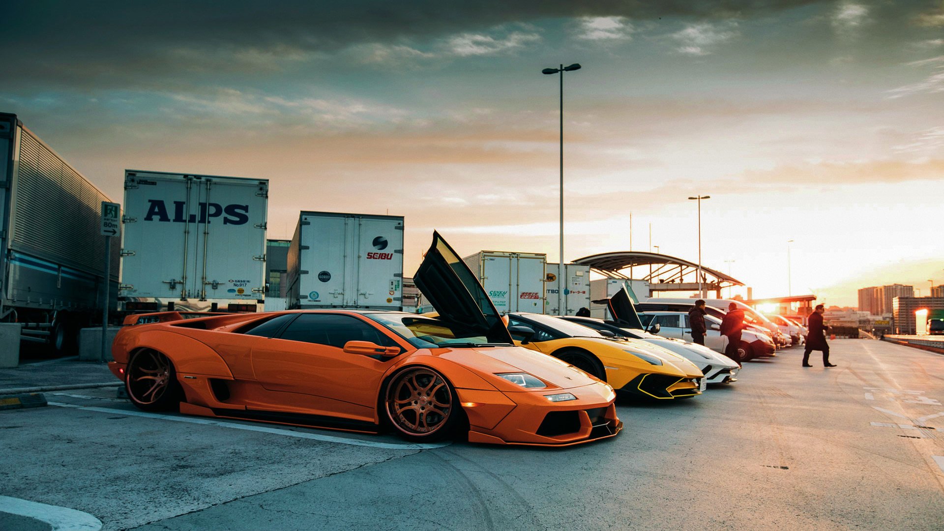 爱游戏平台-荷兰自由泳短程展现爆发力，荷兰自由泳名将