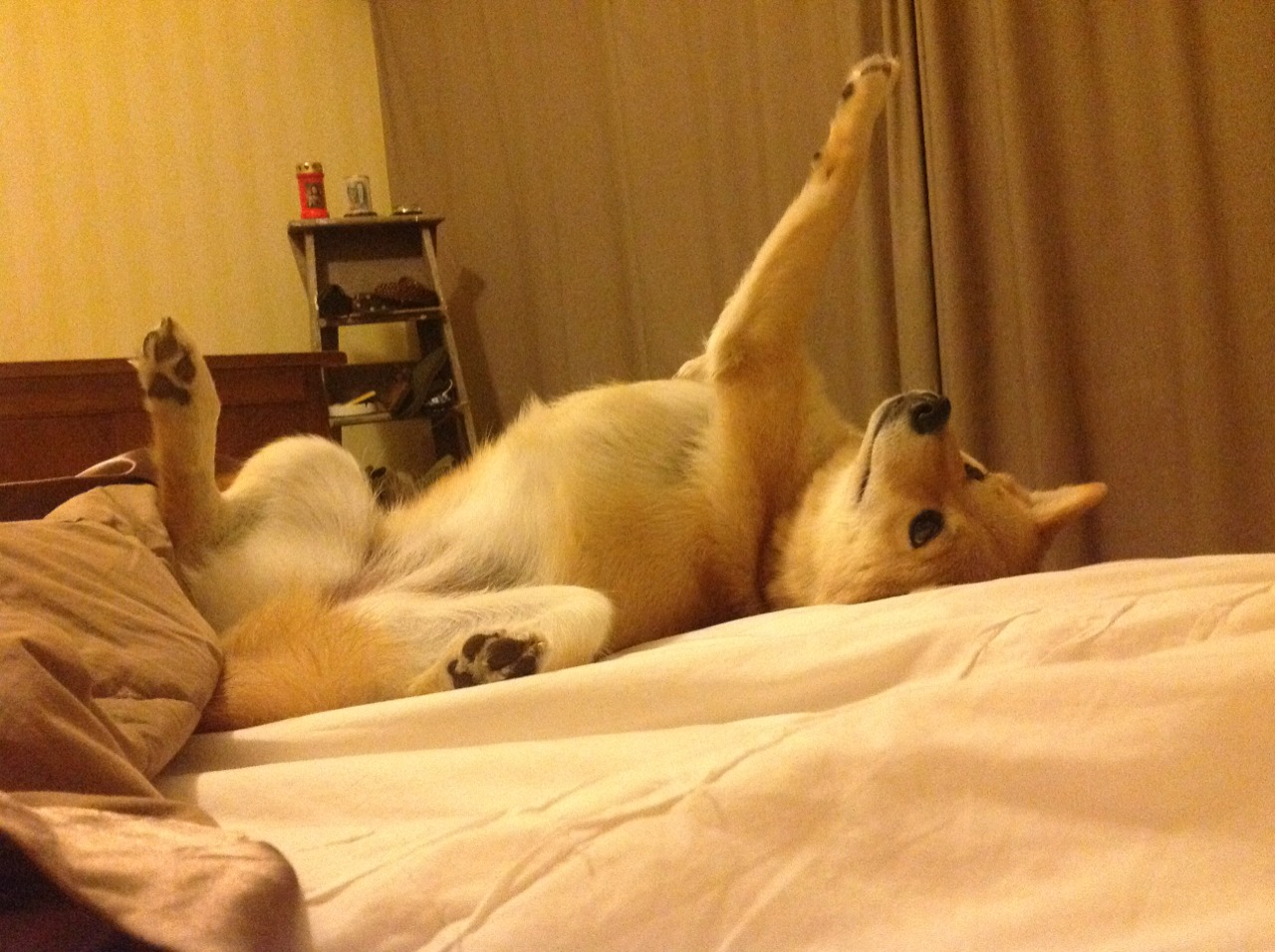 爱游戏娱乐-西甲飞跃精彩：每一次突破都令人振奋！